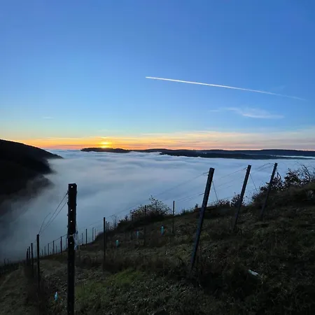 Apartment Urlaub-weinhofherrenberg 2 Schoden